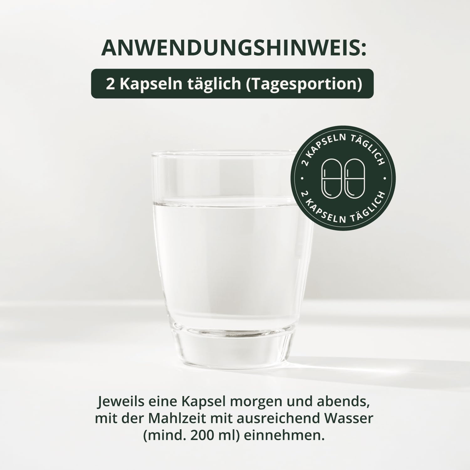 BodyFokus Darmschild – für Ihre Darmgesundheit und Ihr allgemeines Wohlbefinden – 60 Kapseln – hergestellt in Deutschland – Bild 4