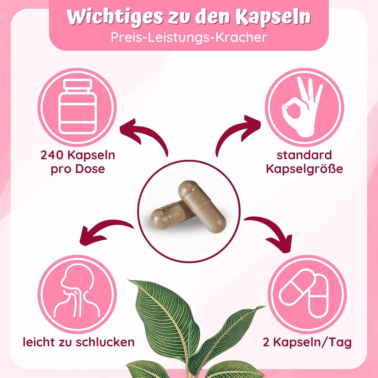 Hormonbalance Frauen – 240 PMS-Kapseln mit Myo-Inositol OPC Goose Finnisches Acetyl-L-Carnitin Frauenmantel Mönchspfeffer Hochdosiert & B6-4-Monatsvorrat – PMS Complex loodus – Bild 5