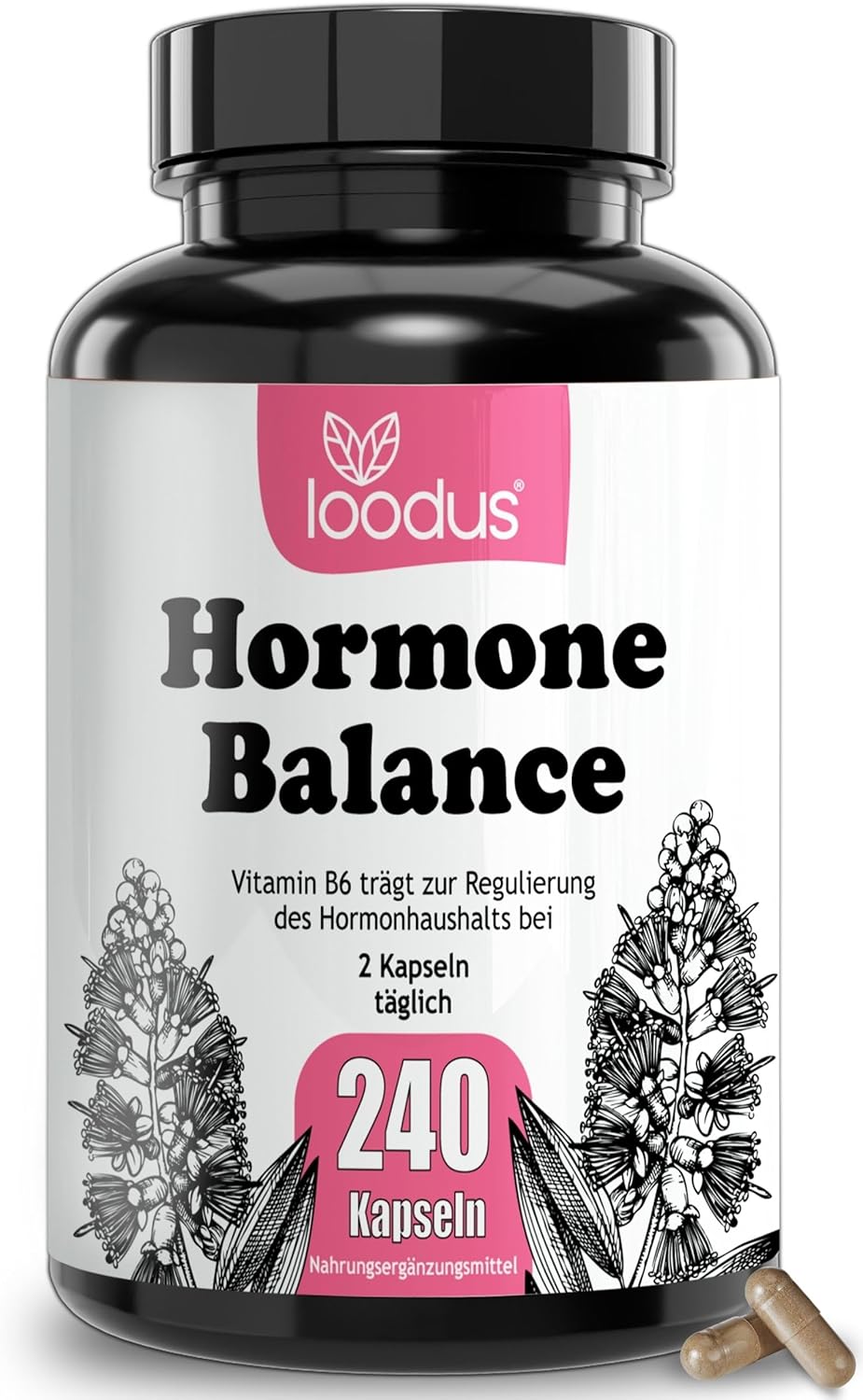 Hormonbalance Frauen – 240 PMS-Kapseln mit Myo-Inositol OPC Goose Finnisches Acetyl-L-Carnitin Frauenmantel Mönchspfeffer Hochdosiert & B6-4-Monatsvorrat – PMS Complex loodus