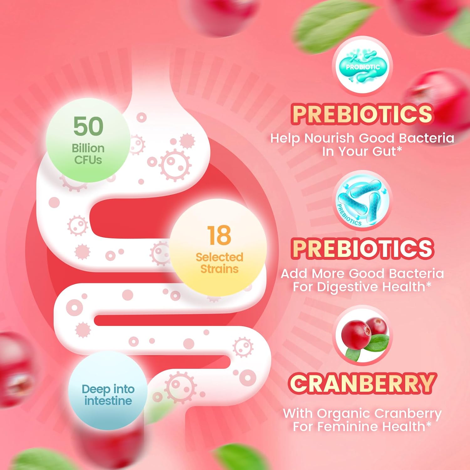 VivoNu Vaginale Probiotika für Frauen – Probiotische Gummis für den Intimbereich und die vaginale Gesundheit, mit Cranberry und Präbiotika, Unterstützung des pH-Gleichgewichts, Probiotikum für Frauen, 60 Gummis – Bild 3