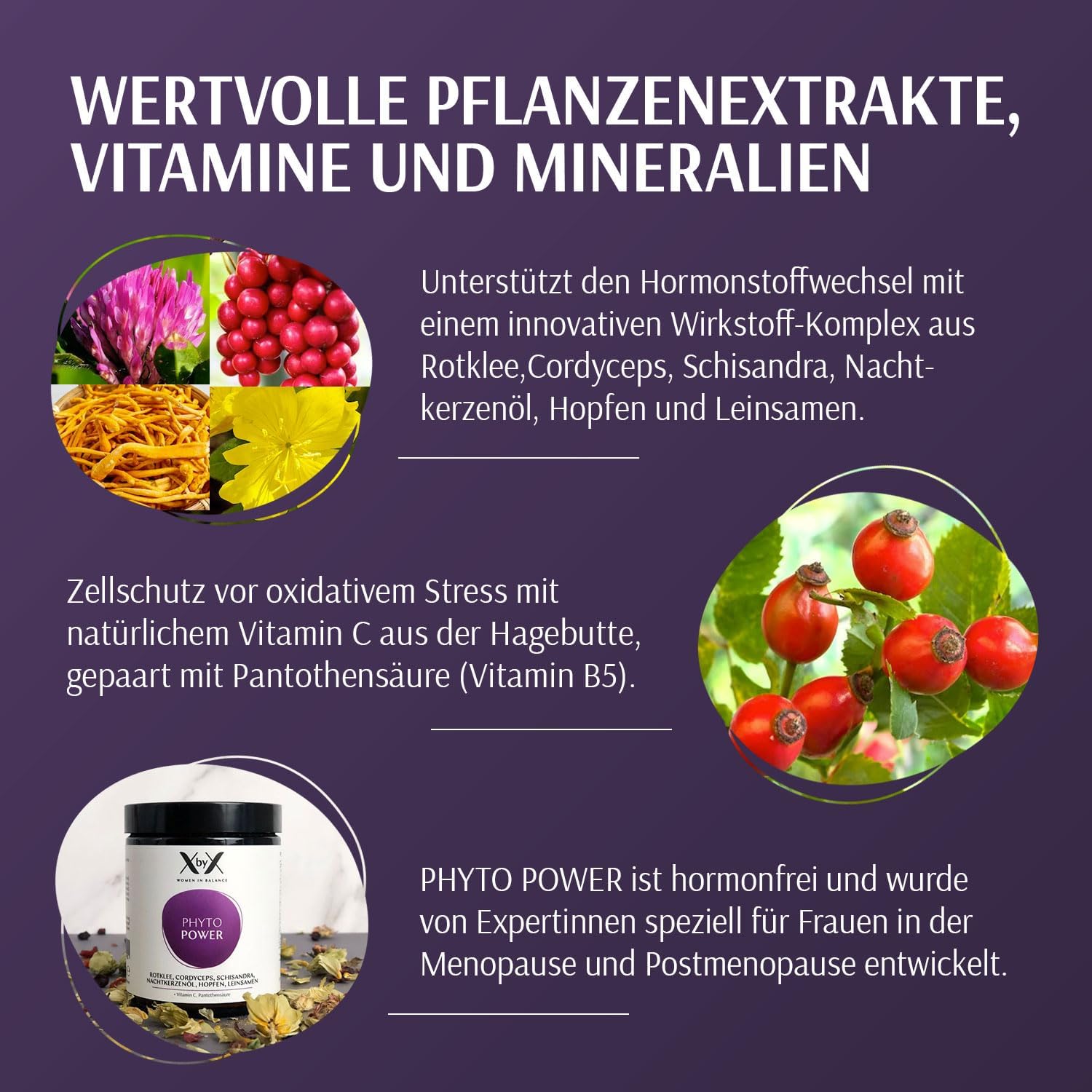 XbyX Phyto Power 90 g | 45 Portionen | Hormonelle Unterstützung in den Wechseljahren | Hormonfrei | Ohne Soja | Mit Rotklee, Cordyceps, Schisandra, Nachtkerzenöl, Hopfen und Leinsamen | Aus Deutschland – Bild 4