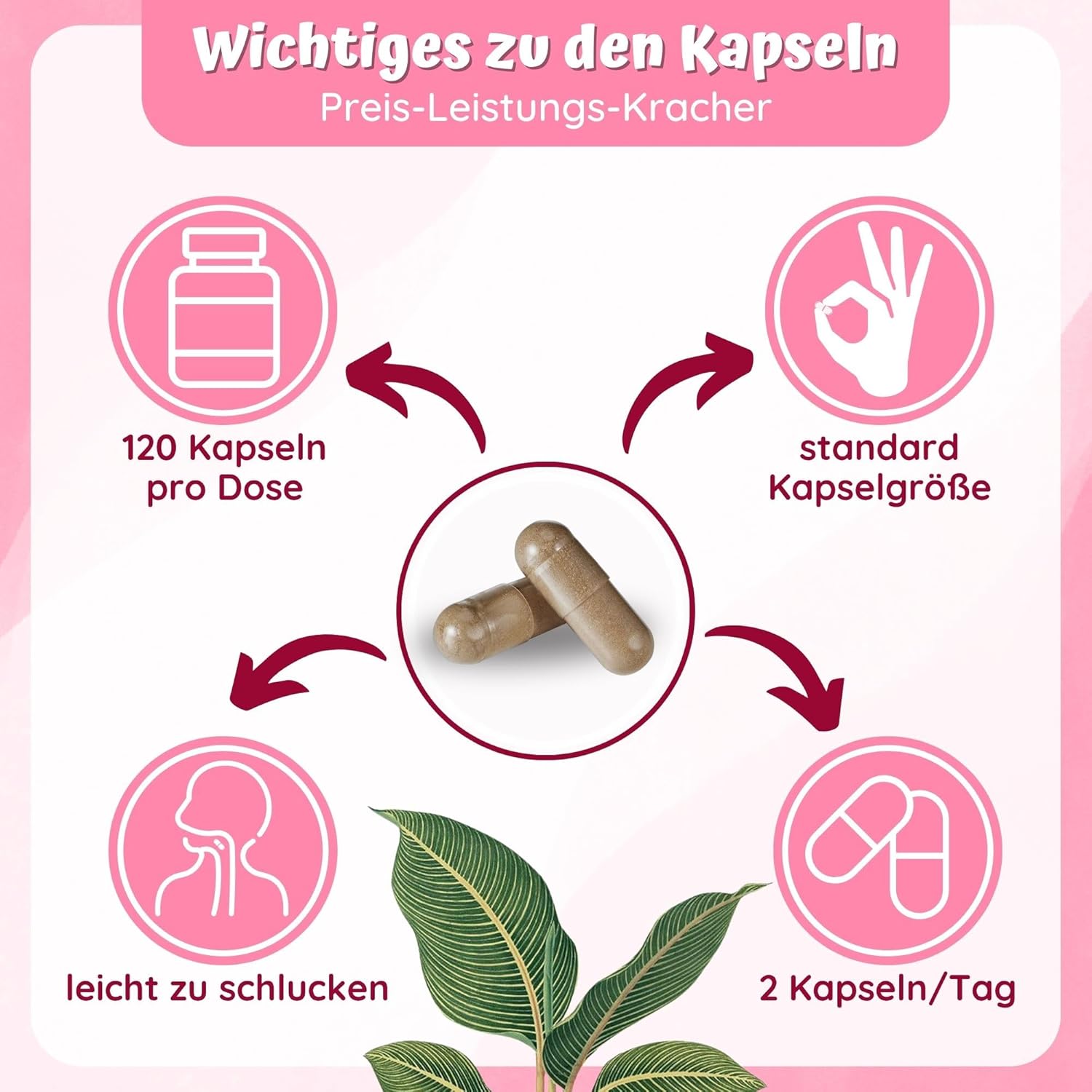 Hormonbalance Frauen – 120 PMS-Kapseln mit Myo-Inositol OPC Goose Finnisches Acetyl-L-Carnitin Frauenmantel Mönchspfeffer Hochdosiert & B6-2-Monatsvorrat – PMS Complex loodus – Bild 5