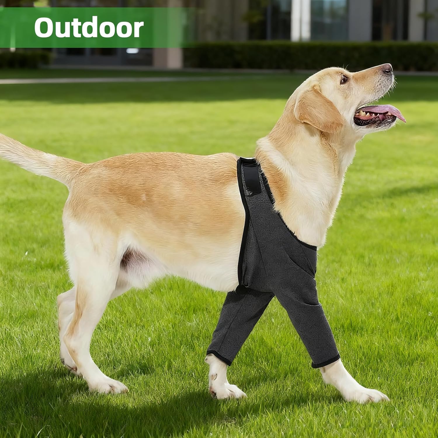 Hunde-Bodysuit nach Operationen, Hundekleidung zur Unterstützung der Genesung nach Operationen an den Vorderbeinen, Ellbogenschutz für Hunde, Wundschutz für Hundebeine (Grau, M) – Bild 8