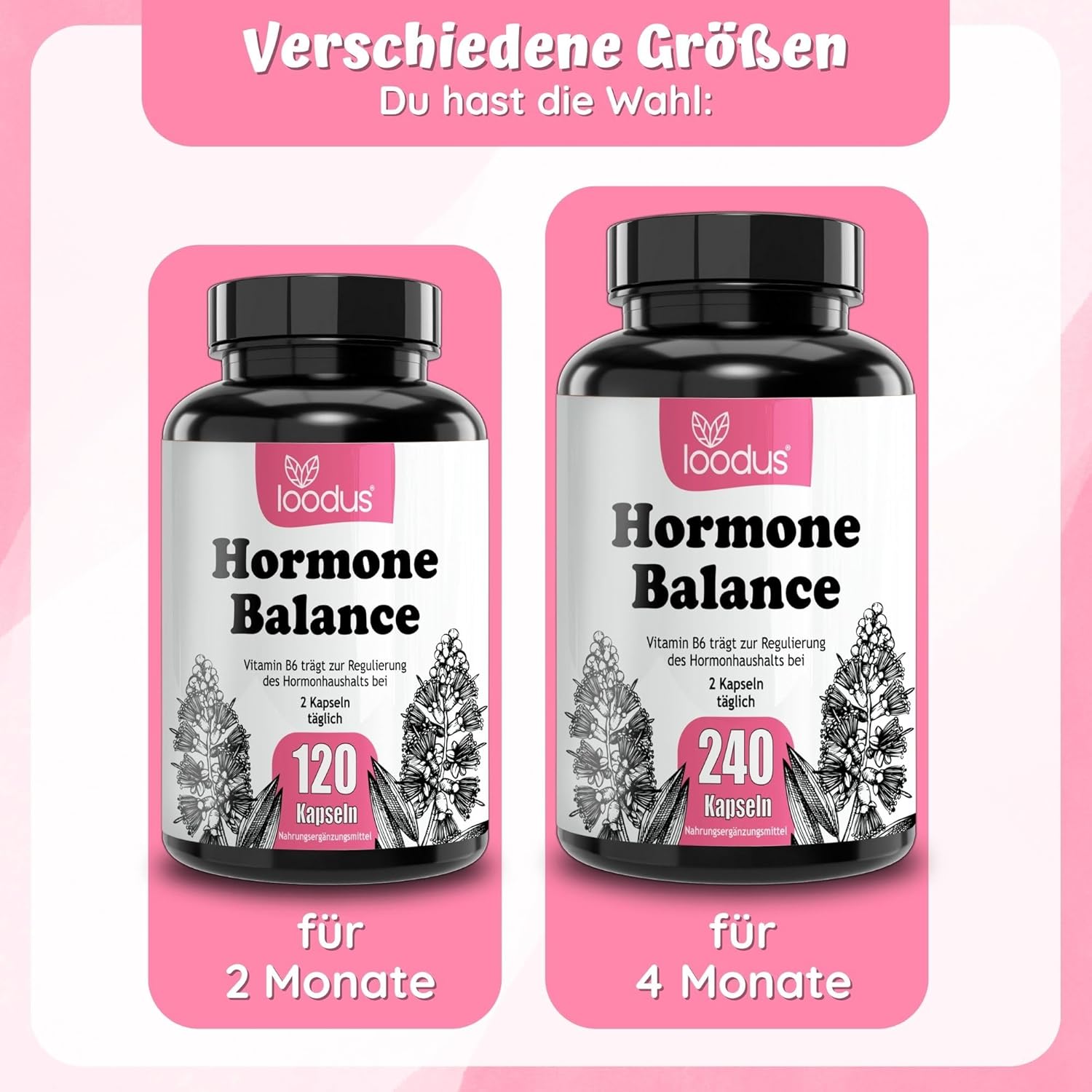 Hormonbalance Frauen – 120 PMS-Kapseln mit Myo-Inositol OPC Goose Finnisches Acetyl-L-Carnitin Frauenmantel Mönchspfeffer Hochdosiert & B6-2-Monatsvorrat – PMS Complex loodus – Bild 2